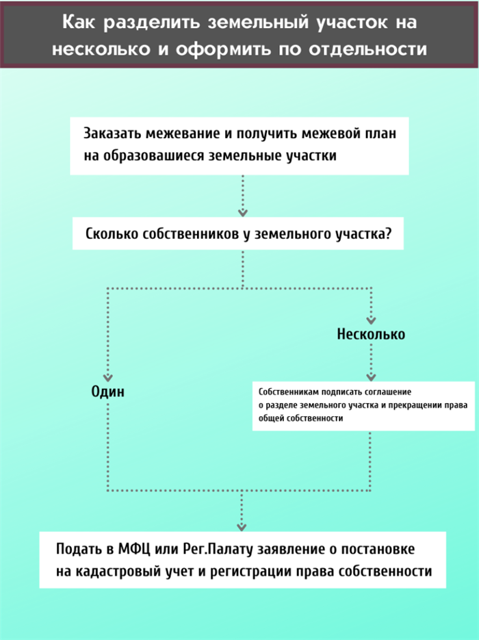 Кто имеет право на раздел земельного участка в аренде в 2025 году?