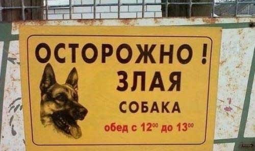 Штрафы за отсутствие таблички о наличии собаки