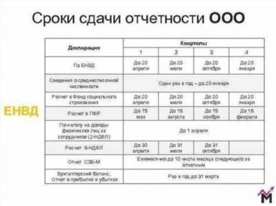 Нарушение срока оплаты НДФЛ 2025