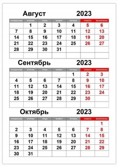 Зарплата стажера в полиции на декретном месте в Сургуте в 2025 году