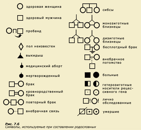 Как наследуются гены?