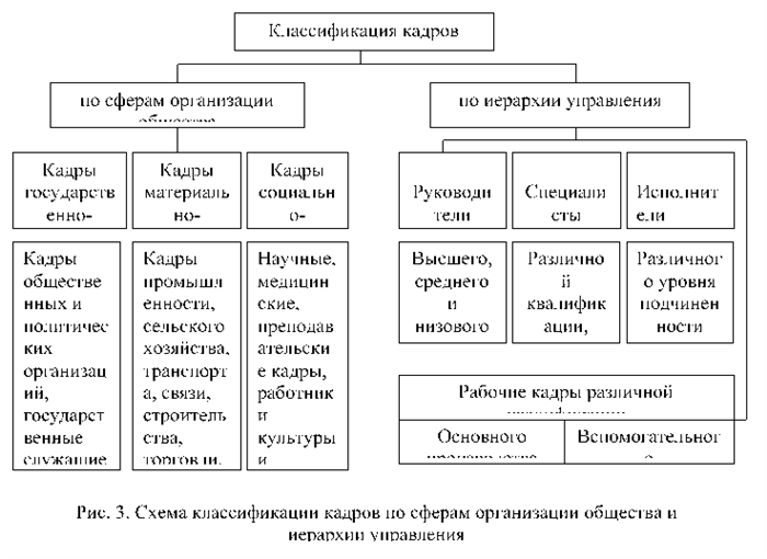 Структура ПФР и его отделы: описание и функции