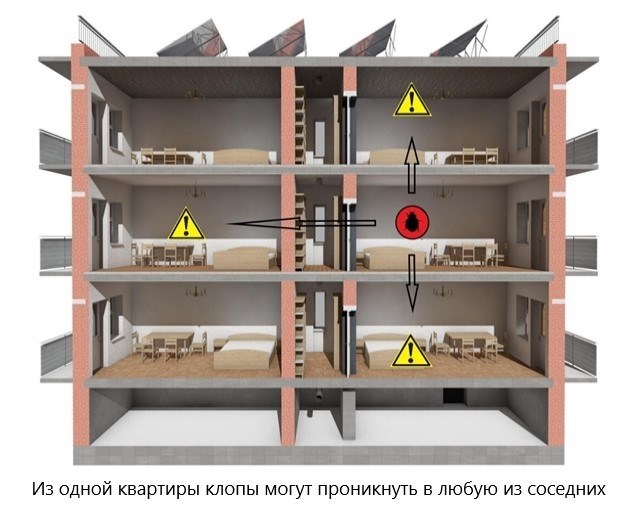 Кто несет ответственность за борьбу с клопами?